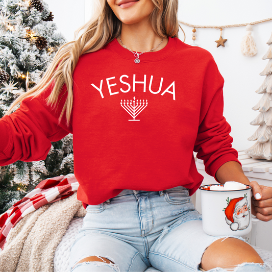 Yeshua Heavy Blend™ Embroidered Sweatshirt